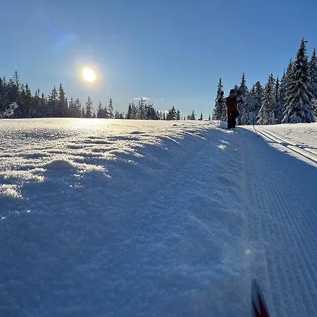 Modern With Views Of Skeikampen * Svingvoll