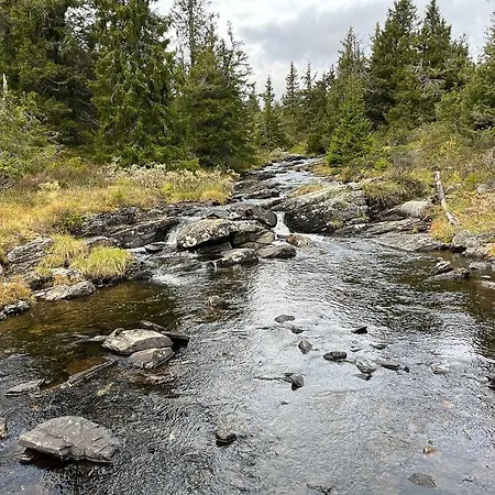 Modern With Views Of Skeikampen *