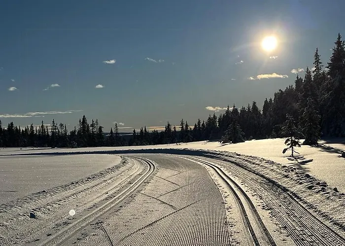 Modern With Views Of Skeikampen Svingvoll